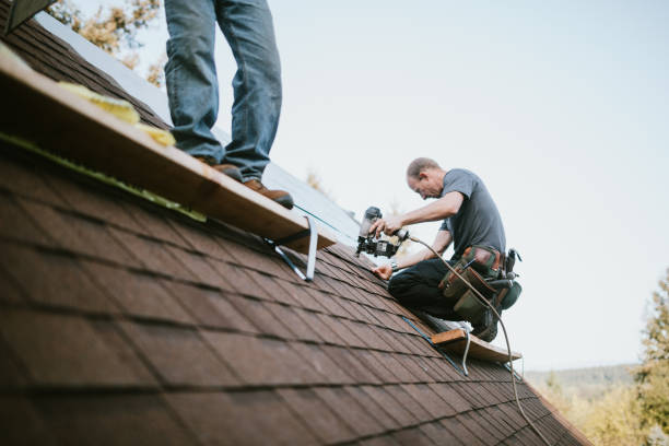 Best Storm Damage Roof Repair  in Kendall Park, NJ